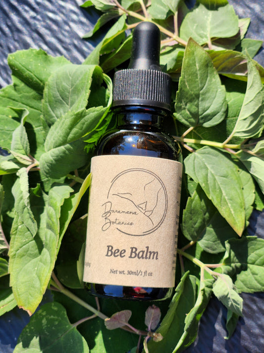 Bee Balm