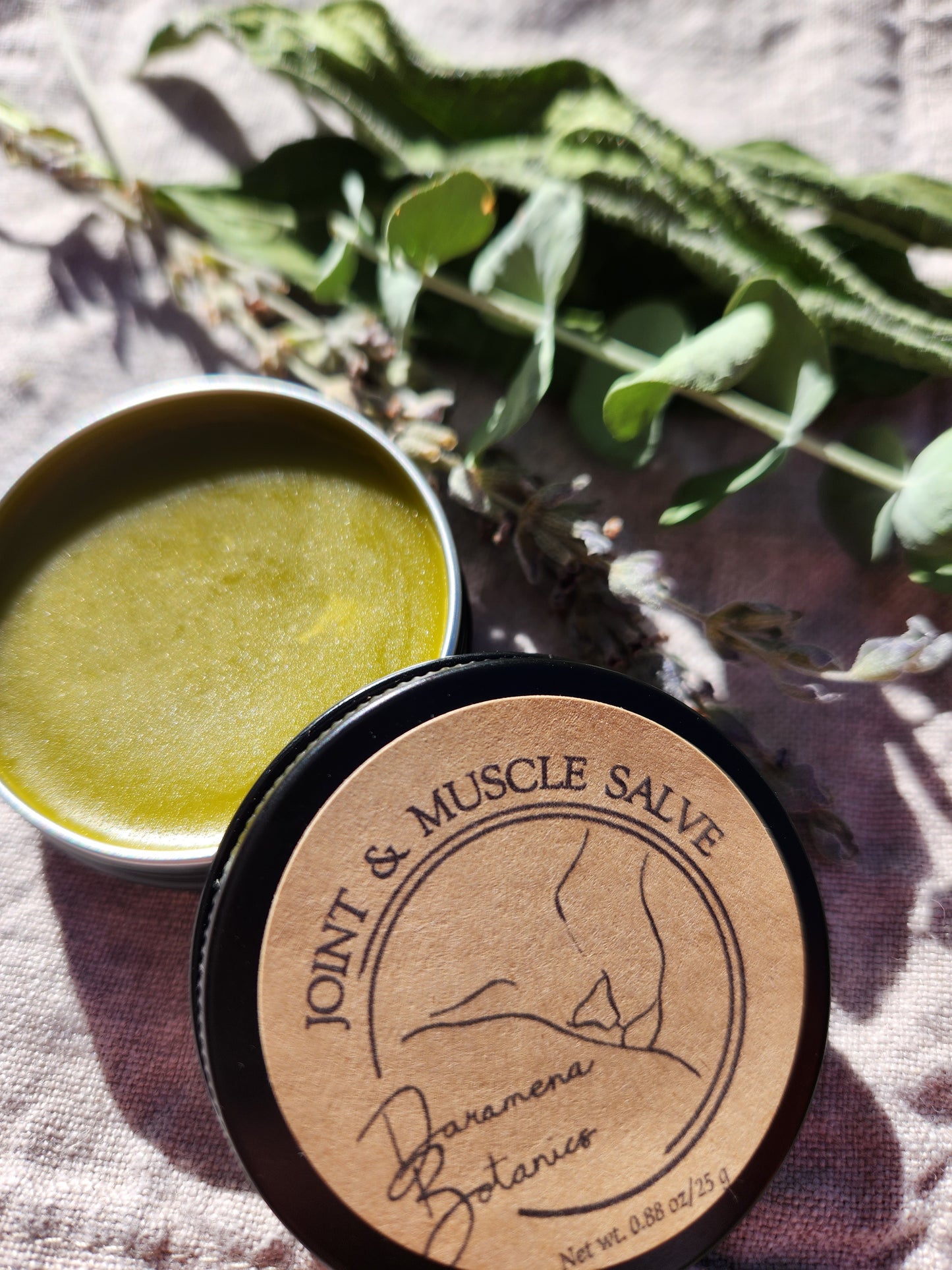 Joint & Muscle Salve