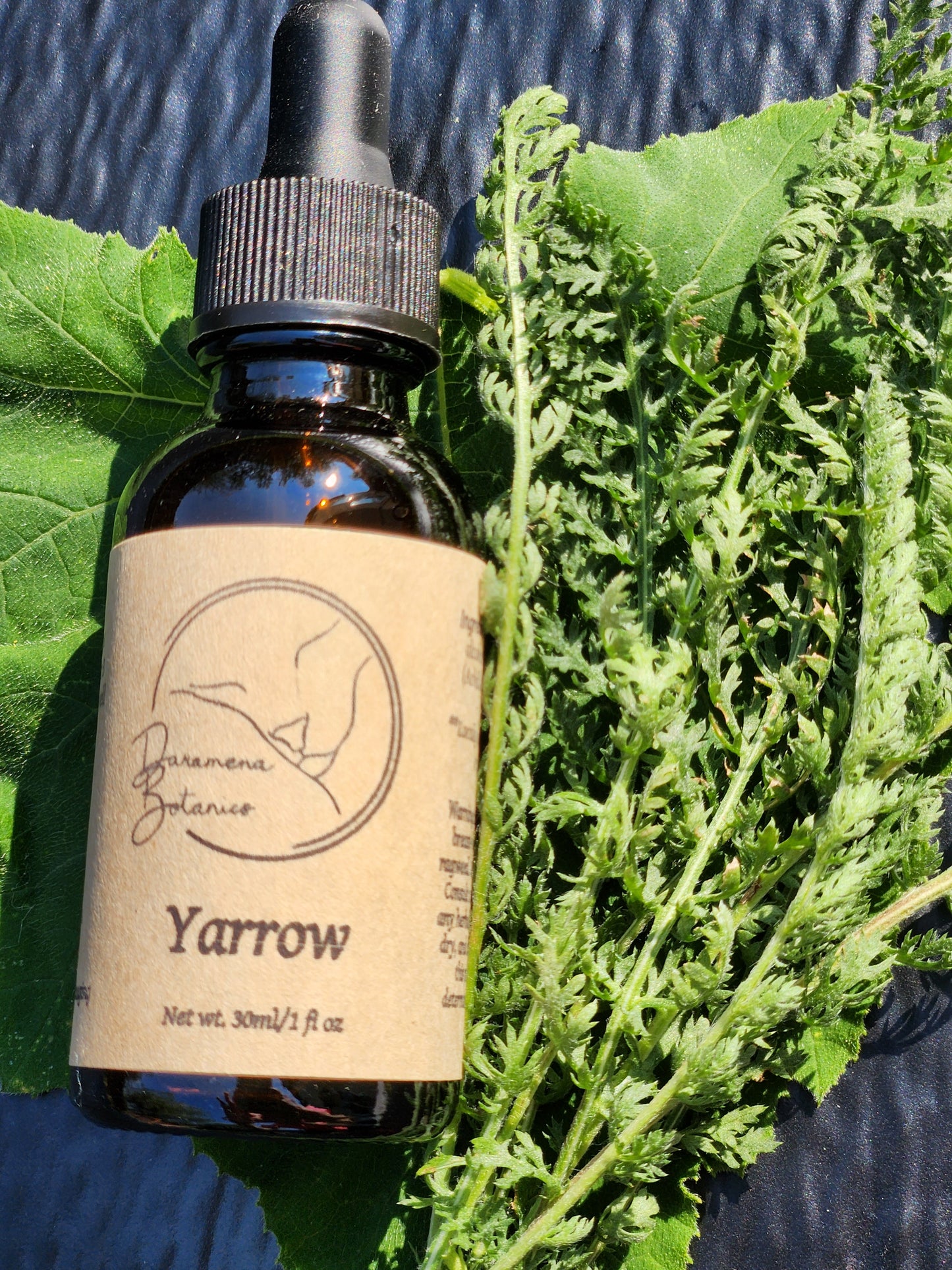 Yarrow