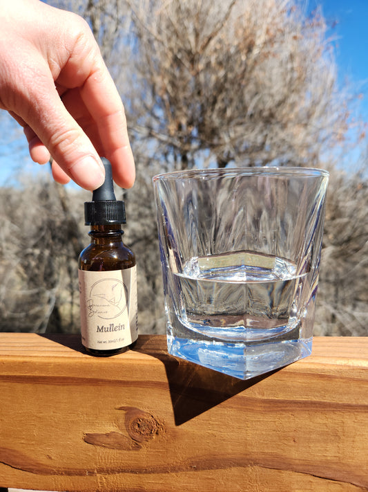 Mullein Tincture
